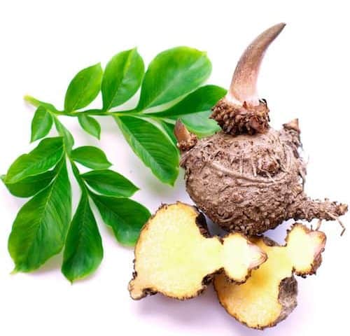Konjac root glucomannan